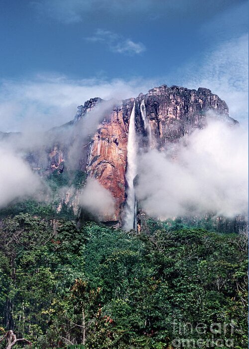 Dave Welling Greeting Card featuring the photograph Angel Falls In Mist Canaima National Park Venezuela by Dave Welling