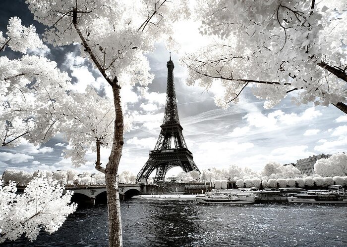 Paris Greeting Card featuring the photograph Another Look - Paris by Philippe HUGONNARD
