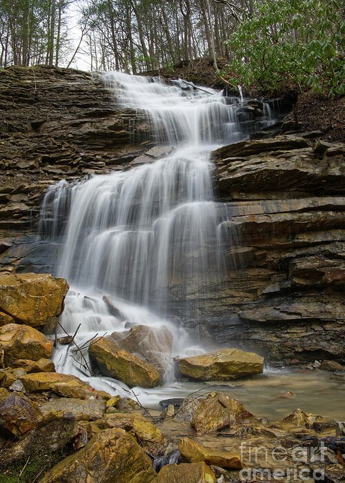 Triple Falls Greeting Card featuring the photograph Another Waterfall On Bruce Creek 3 by Phil Perkins