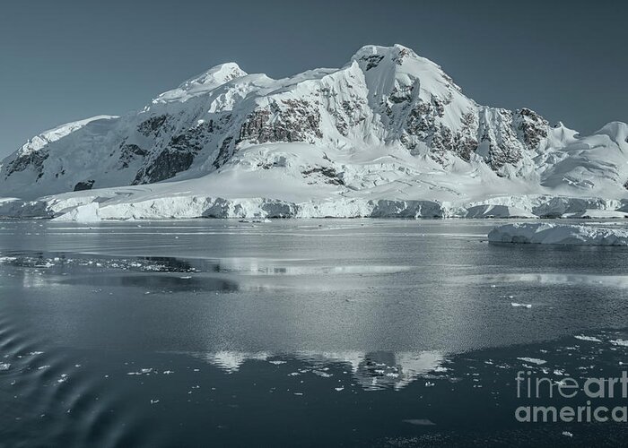 Antarctica Greeting Card featuring the photograph Antarctic Landscape by David Lichtneker