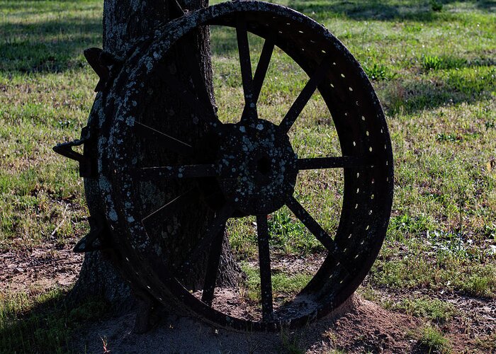 Antique Tractor Wheel Greeting Card featuring the photograph Antique Tractor Wheel by Flees Photos