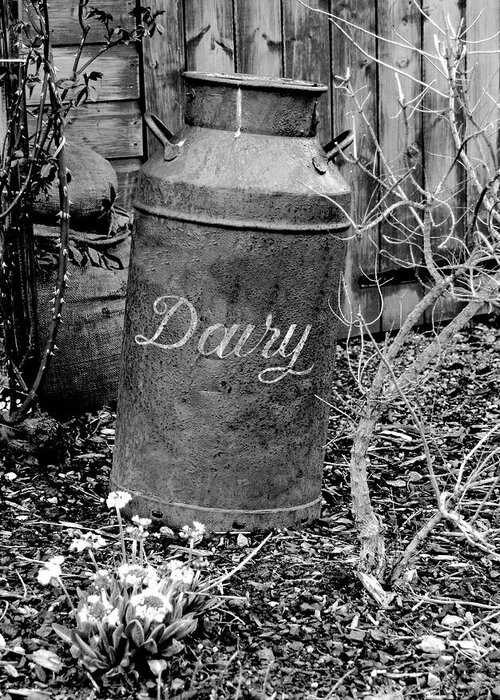 Shed Greeting Card featuring the photograph Antique vintage dairy can black and white by Severija Kirilovaite
