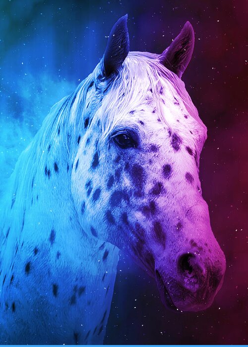 Appaloosa Greeting Card featuring the digital art Appaloosa horse close up portrait in blue and violet by Nicko Prints