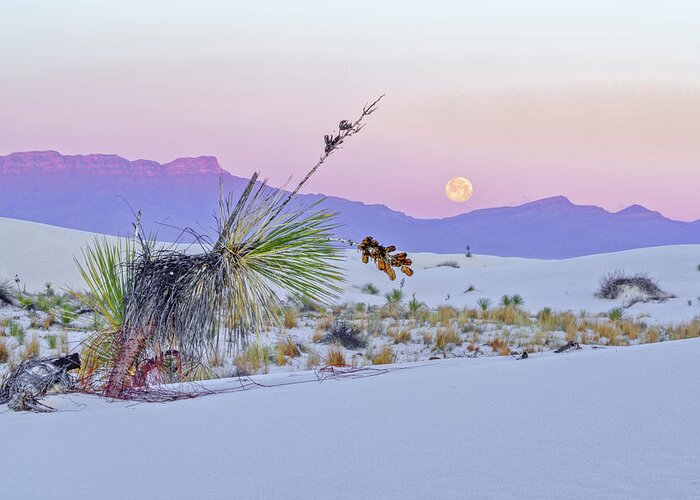 New Mexico Greeting Card featuring the photograph April 2020 Moonset over White Sands by Alain Zarinelli