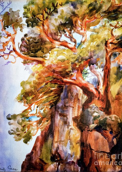 Arbutus Greeting Card featuring the painting Arbutus Tree by Emily Carr 1908 by Emily Carr