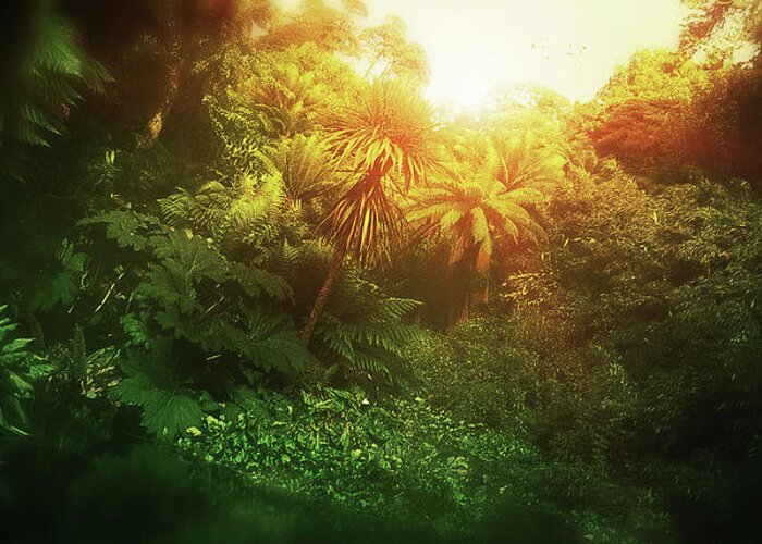 Jungle Greeting Card featuring the digital art Art - Light in the Jungle by Matthias Zegveld