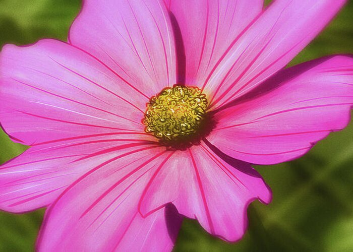 Flowers Greeting Card featuring the digital art Art - Pink Flower by Matthias Zegveld