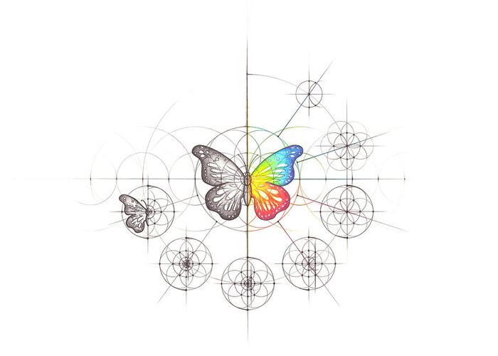 Butterfly Greeting Card featuring the drawing Intuitive Geometry Butterfly #2 by Nathalie Strassburg