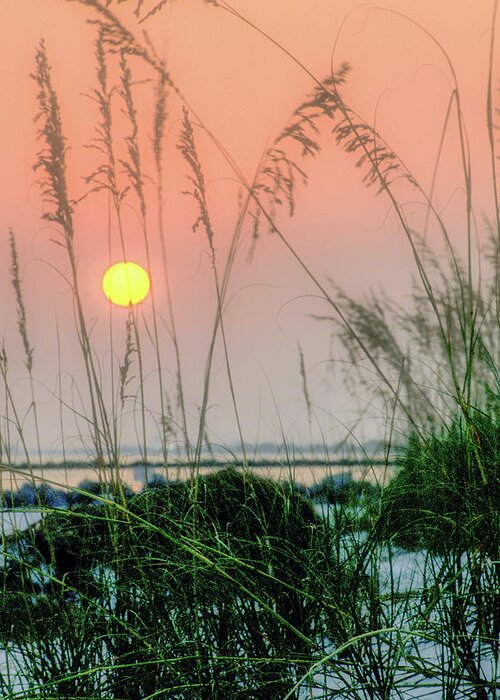 Orange Greeting Card featuring the photograph Sunset and Sea Oats by James C Richardson