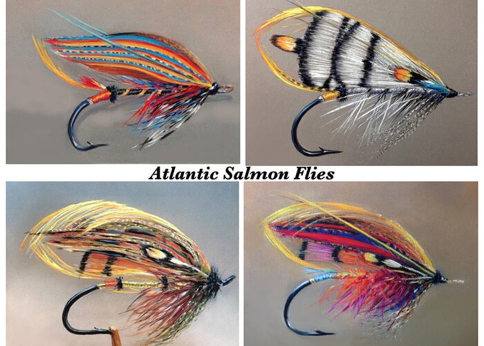 Atlantic Salmon Flies Greeting Card by Cindy Gillett