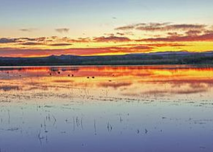 New Mexico Greeting Card featuring the photograph August 2020 Bosque del Apache Sunrise Panorama by Alain Zarinelli