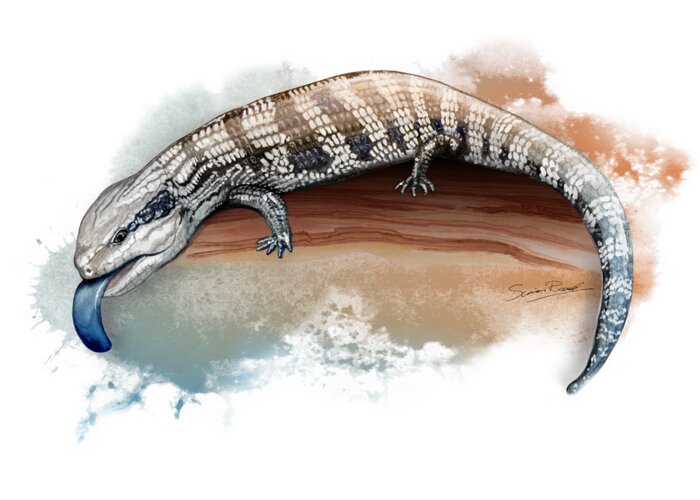 Art Greeting Card featuring the painting Australian Blue Tongue Lizard by Simon Read