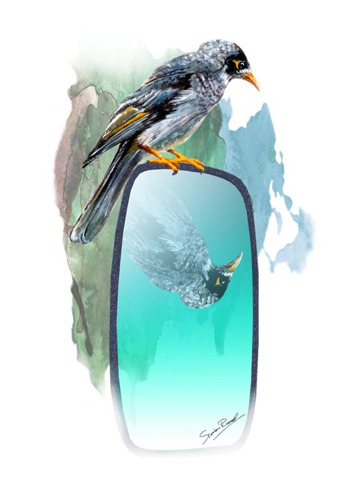 Art Greeting Card featuring the painting Australian Noisy Miner by Simon Read