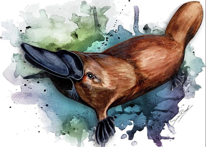 Art Greeting Card featuring the painting Australian Platypus by Simon Read