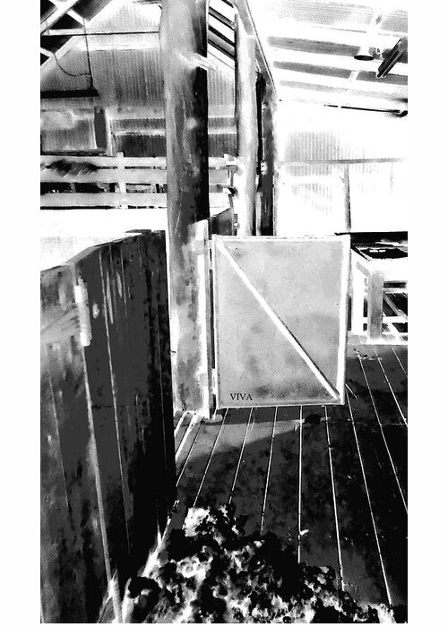 Grayscale Greeting Card featuring the photograph Australian Shearing Shed by VIVA Anderson