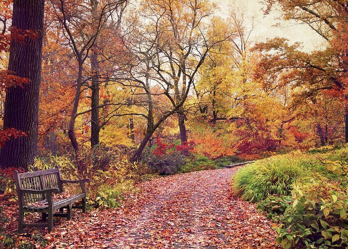 Autumn Greeting Card featuring the photograph Autumn Azalea Garden by Jessica Jenney