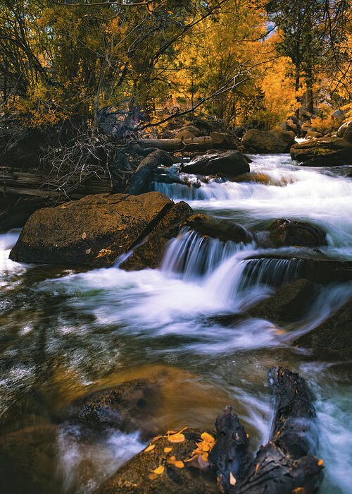 Water Greeting Card featuring the photograph Autumn Cascade by Jason Roberts