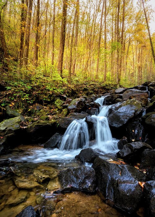Cherokee Greeting Card featuring the photograph Autumn Cascades of Amicalola Falls by Debra and Dave Vanderlaan