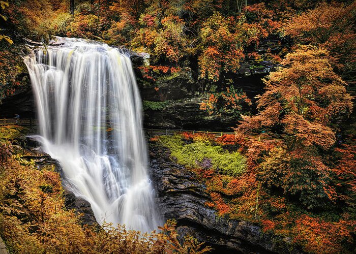 Carolina Greeting Card featuring the photograph Autumn Colors at Dry Falls by Debra and Dave Vanderlaan