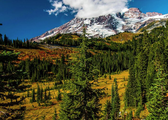 Mount Rainier National Park Greeting Card featuring the photograph Autumn Days by Doug Scrima