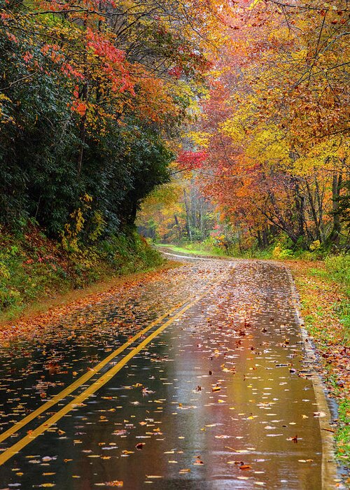 Carolina Greeting Card featuring the photograph Autumn Drive II by Debra and Dave Vanderlaan