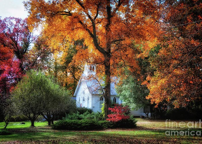 Landscape Greeting Card featuring the photograph Autumn Evensong by Lois Bryan