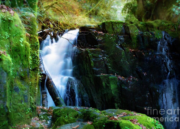 Oregon Waterfalls Greeting Card featuring the photograph Autumn Fantasy Land 7- Sweet Creek Falls by Janie Johnson