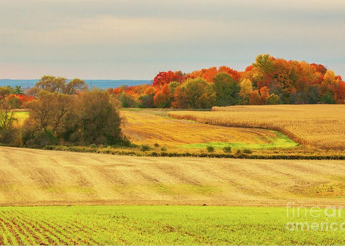 Agriculture Greeting Card featuring the photograph Autumn Farmland by Charline Xia