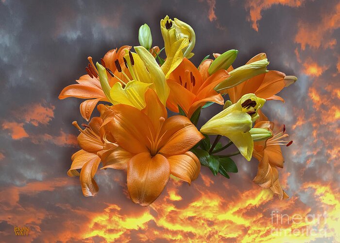 Orange Flowers Greeting Card featuring the photograph Autumn Flowers by Brian Watt