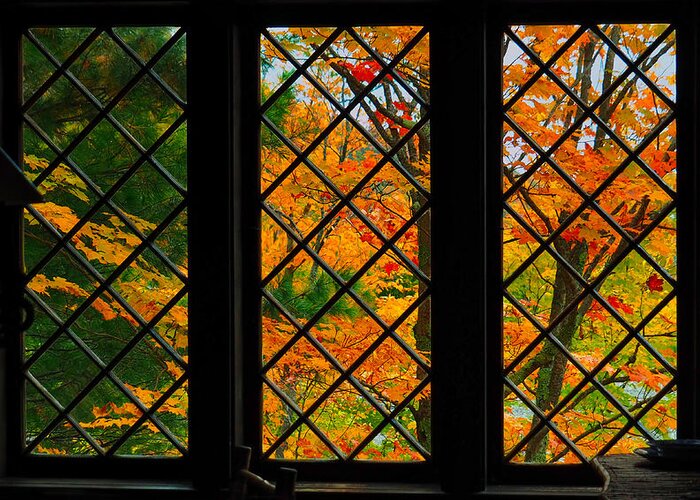Nature Greeting Card featuring the photograph Autumn from Inside by Judy Cuddehe