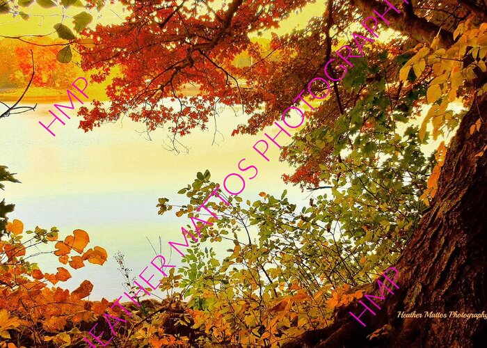 Autumn Greeting Card featuring the photograph Autumn Glory by Heather M Photography