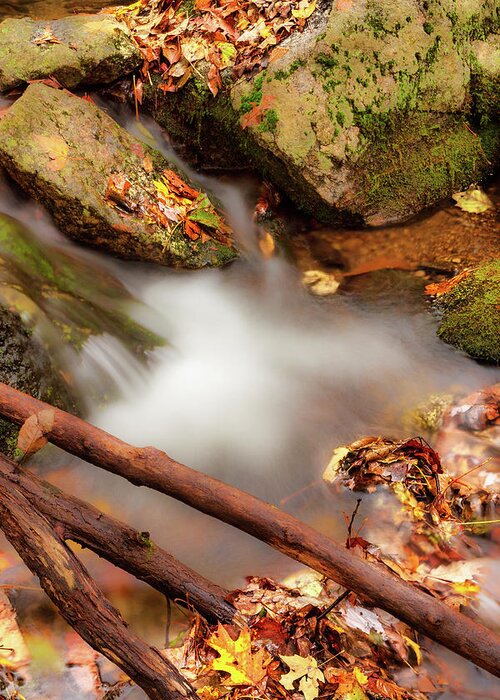 Fall Greeting Card featuring the photograph Autumn Icy Waters fx by Dan Carmichael