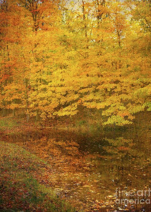 Autumn Leaves Greeting Card featuring the photograph Autumn Impressions by Kathi Mirto