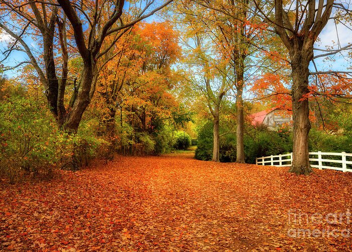 Autumn Greeting Card featuring the photograph Autumn in the Country by Shelia Hunt