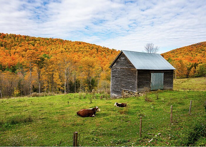 Fall Greeting Card featuring the photograph Autumn in Vermont in the Woodstock Countryside 2 by Ron Long Ltd Photography