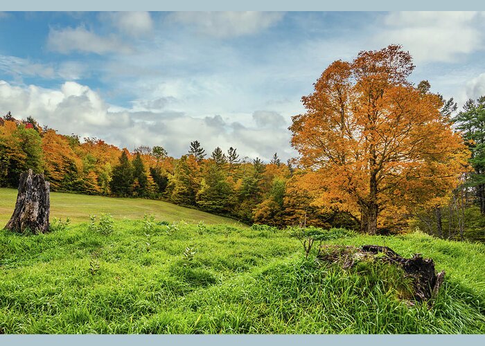 Fall Greeting Card featuring the photograph Autumn in Vermont in the Woodstock Countryside by Ron Long Ltd Photography