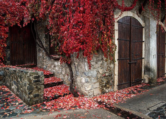 Autumn Greeting Card featuring the photograph Autumn landscape with red plants on a hous wall by Michalakis Ppalis