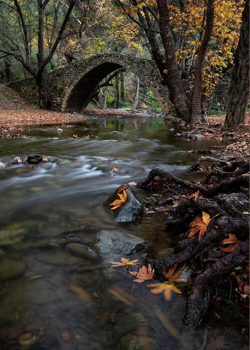 Autumn Greeting Card featuring the photograph Autumn landscape with river flowing under a stoned bridge by Michalakis Ppalis