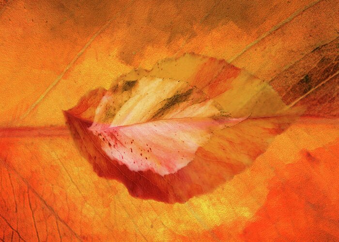 Photography Greeting Card featuring the digital art Autumn Leaves Design by Terry Davis