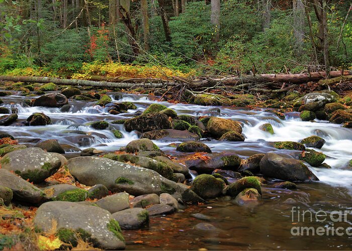 River Greeting Card featuring the photograph Autumn Lullabye by Rick Lipscomb