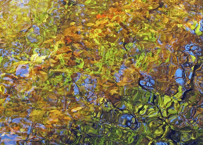 Water Greeting Card featuring the photograph Autumn Mirror by Lynda Lehmann