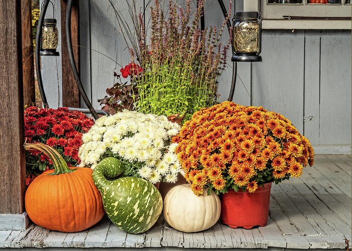Pumpkin Greeting Card featuring the photograph Autumn Mums and Gourds at Whitesbog by Kristia Adams