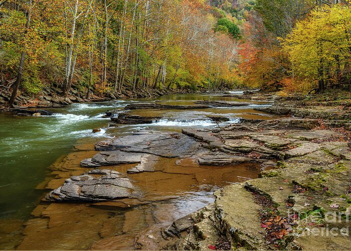 Cherry Falls Greeting Card featuring the photograph Autumn on the Elk River by Thomas R Fletcher