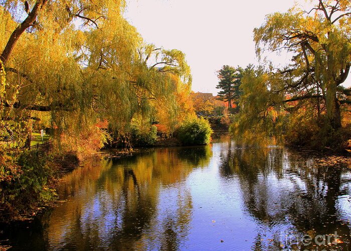 Fall Greeting Card featuring the photograph Autumn on the river by Lennie Malvone
