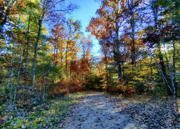 Autumn Greeting Card featuring the photograph Autumn Path by Allen Nice-Webb