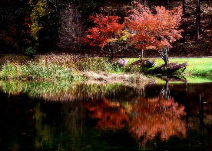 Water Greeting Card featuring the photograph Autumn reflections by Lynn Hunt