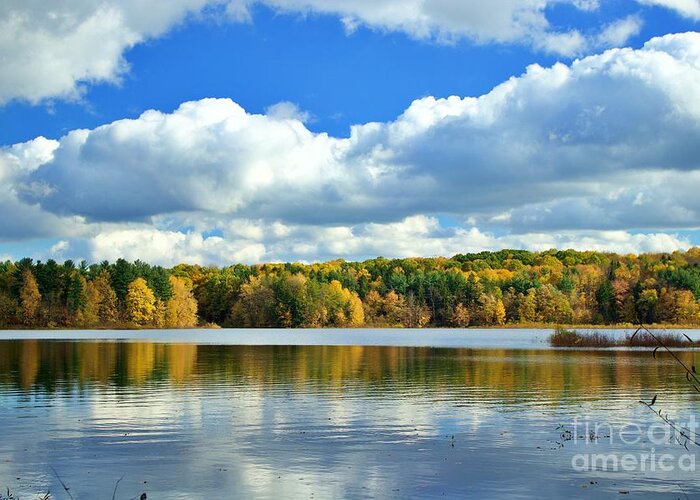 Autumn Greeting Card featuring the photograph Autumn Reflections by Yvonne M Smith