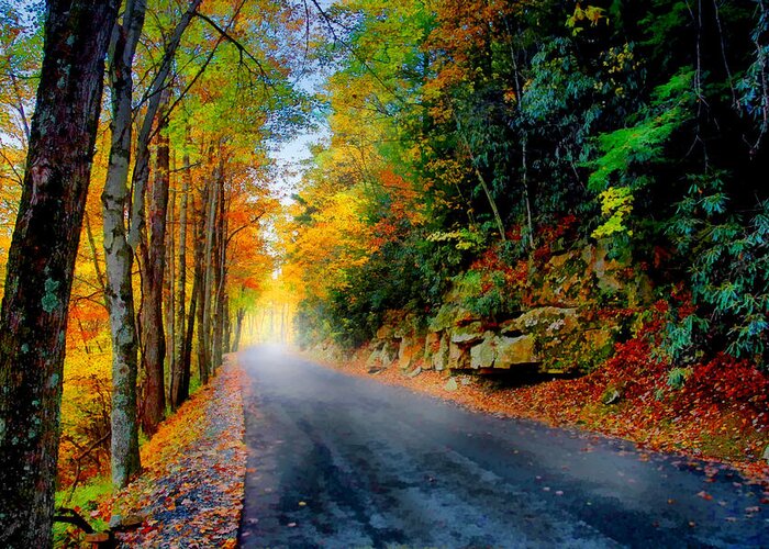 Photo Greeting Card featuring the mixed media Autumn Road by Anthony M Davis