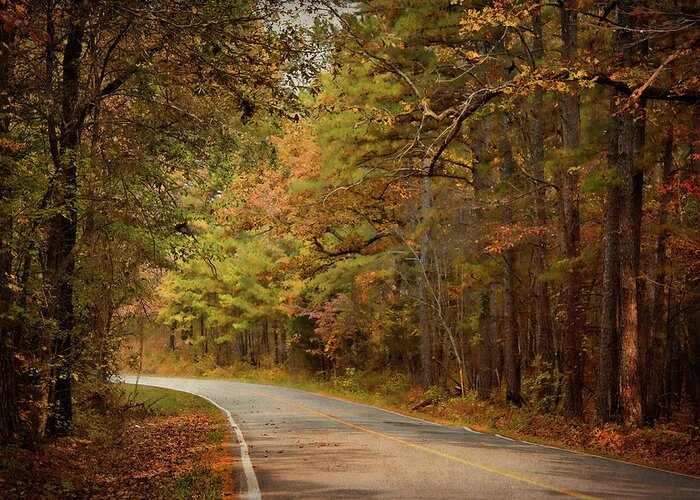 Arkansas Greeting Card featuring the photograph Autumn Road by Lana Trussell