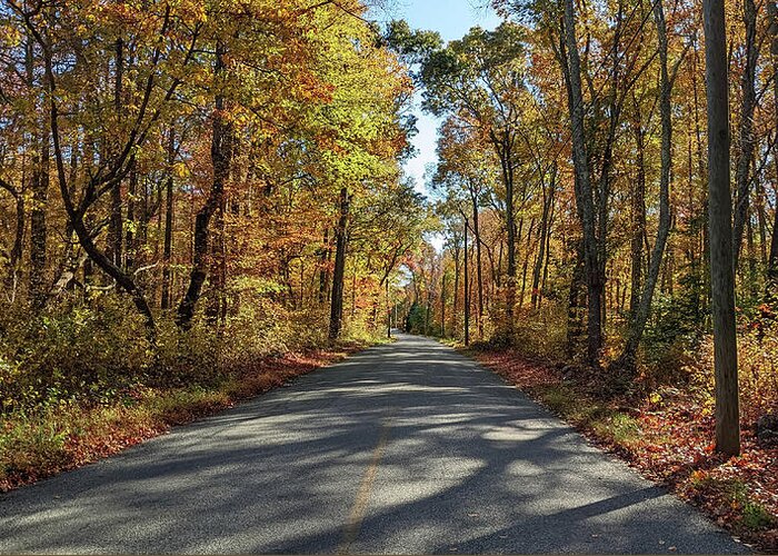 Autumn Greeting Card featuring the photograph Autumn Road - North Stonington CT by Kirkodd Photography Of New England